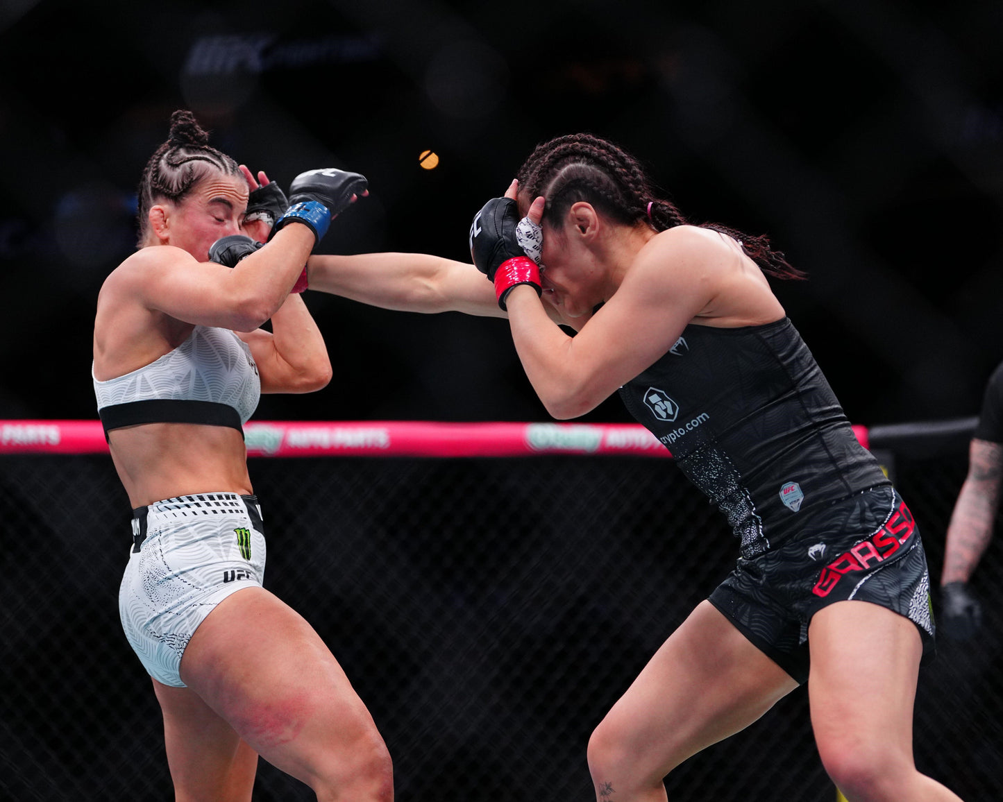 PRESALE: Alexa Grasso 8x10 Photo With Beckett COA & Free Shipping