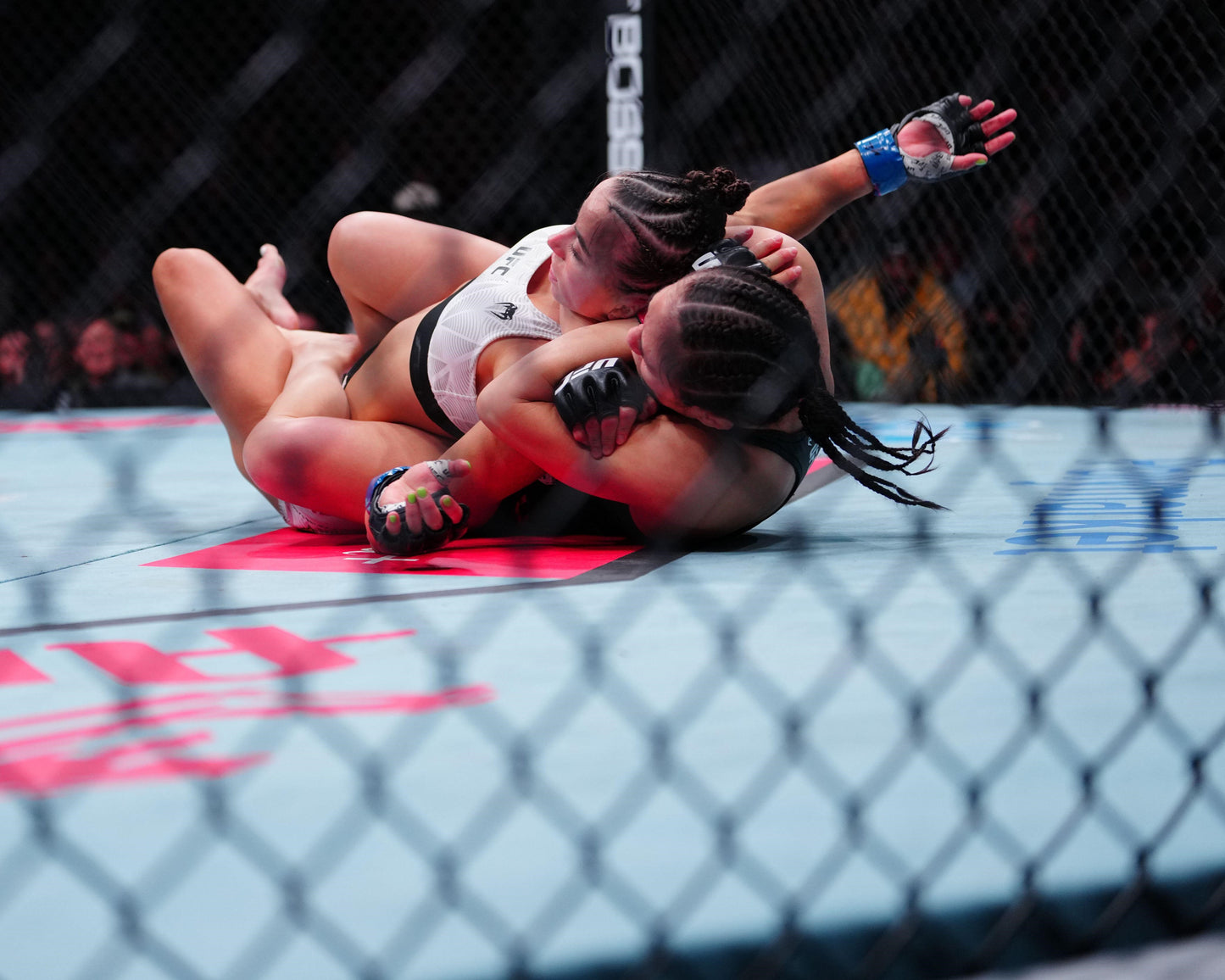 PRESALE: Alexa Grasso 8x10 Photo With Beckett COA & Free Shipping