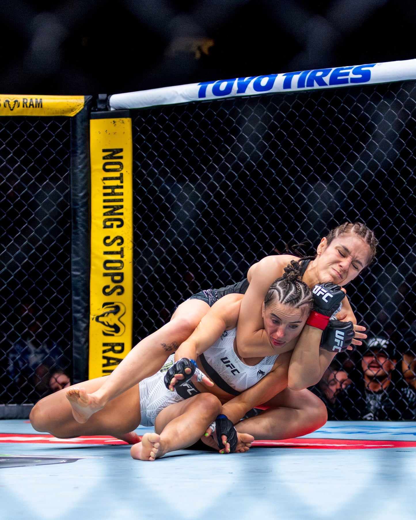 PRESALE: Alexa Grasso 8x10 Photo With Beckett COA & Free Shipping
