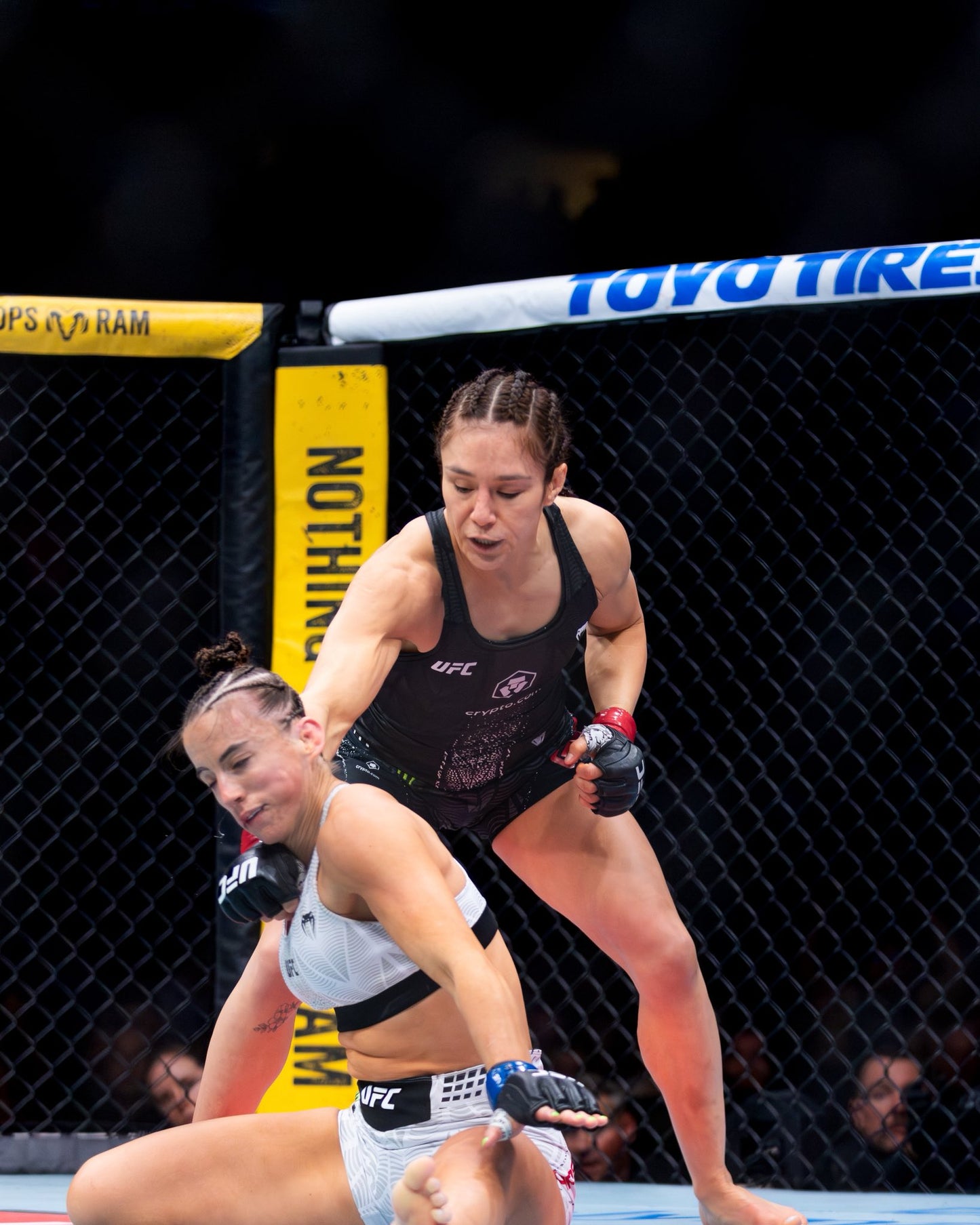 PRESALE: Alexa Grasso 8x10 Photo With Beckett COA & Free Shipping