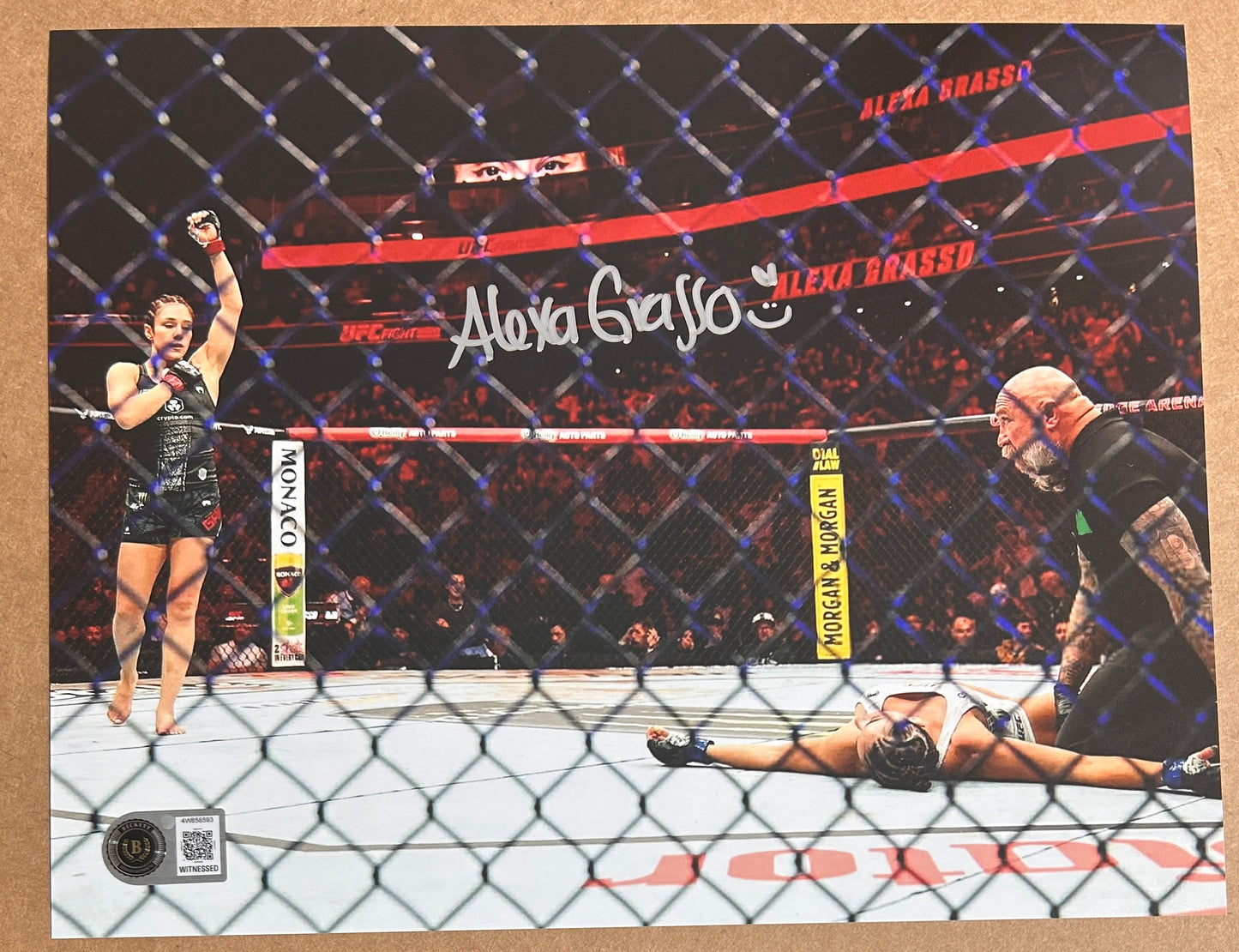 Alexa Grasso Signed 8x10 Photo with Beckett COA & Free Shipping!