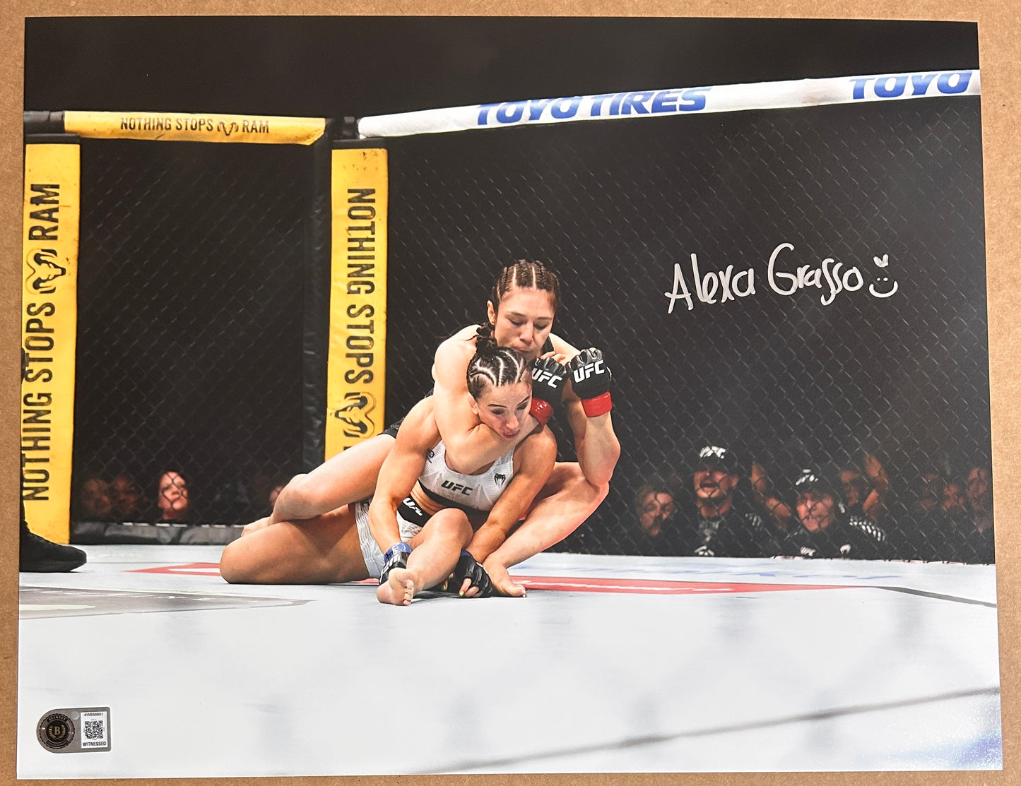 Alexa Grasso Signed 11x14 Photo with Beckett COA & Free Shipping!