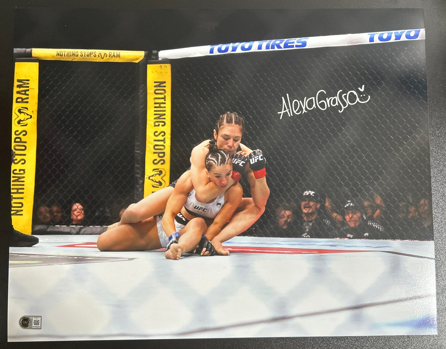 Alexa Grasso Signed 16x20 Photo with Beckett COA & Free Shipping!