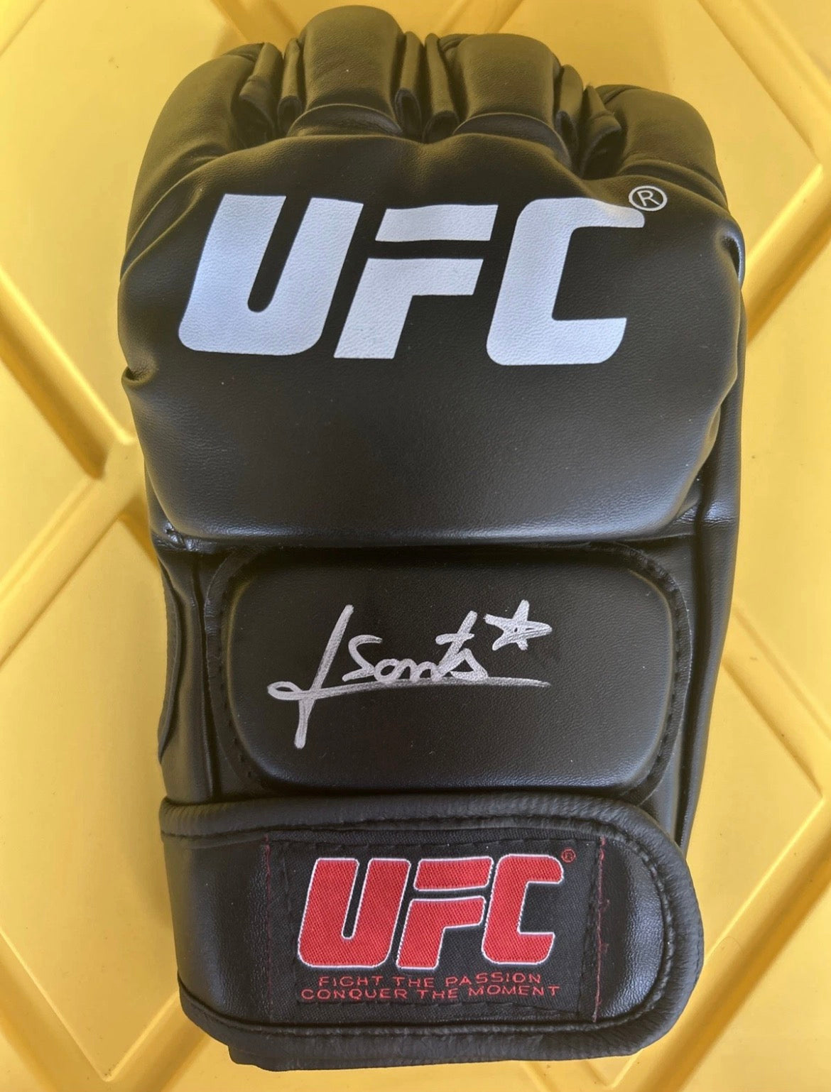 Luana Santos Signed Glove with Beckett COA & Free Shipping!